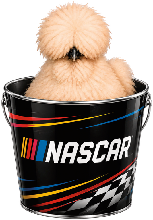 Ricky Bobby